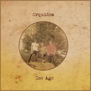 orquidea