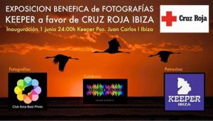 expofotos