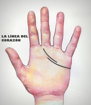 linea coraz