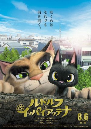 gatos