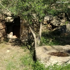 fontdenmiquelet-Ibiza-Click