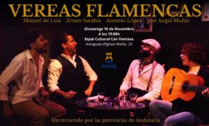 “Vereas Flamencas”, concierto por el Día Internacional del Flamenco.