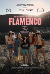 "La misteriosa mirada del flamenco", de Diego Céspedes, en Anem al Cine.